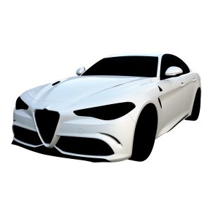 Car Paint 11 (Alfa White)