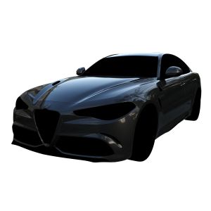 Car Paint 12 (Alfa Black)