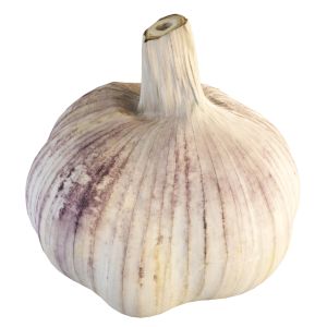 4k Garlic 2