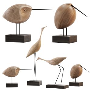 Beak Bird Teak