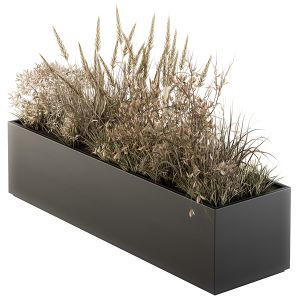 Outdoor Plant Set 226 - Dried Plant Box