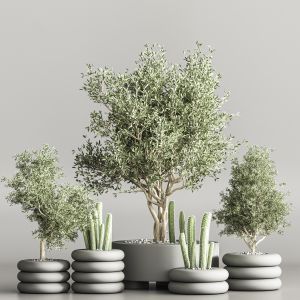 Indoor Plant Stand 56