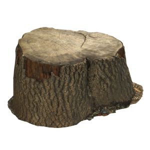 Sawed Stump 01