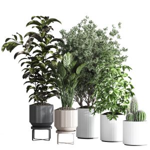 Indoorplantset26