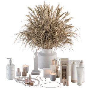 Decorative Set 66 - Beauty Element And Dried Plant