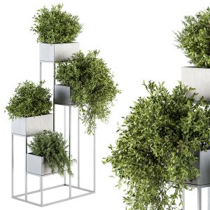 Indoor Plant 213 - Plant Box Stand