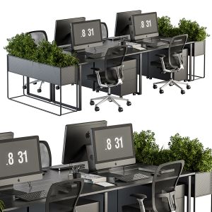 Office Furniture 169 - Employee Set With Plant