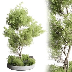 Collection Outdoor Indoor 85 Pot Plant & Tree & Bu