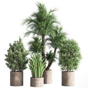 Indoor Plant Set 78