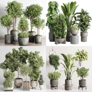 pot plant and hanging pot - wall plant collection vol 01