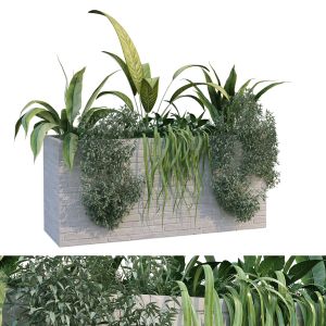 Plant In Box Set 230