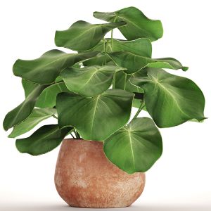 Tropical Potted Plant, Flower, Flowerpot