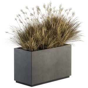 Outdoor Plant Set 217 - Green Grass In Plant Box