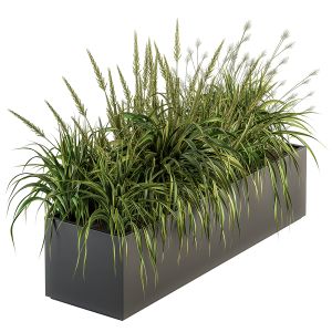 Outdoor Plant Set 225 - Green Grass In Plant Box