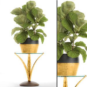 Flower Stand, Luxury Decor, Golden, Ficus Lyrata