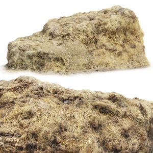 Manure With Hay | 3d Scan