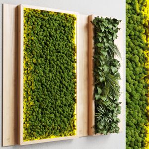 Wall Garden And Vertical Moss In Wooden Frame 22