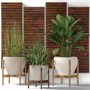 Alocasia, Copper Decor, Panels, Wall Decor