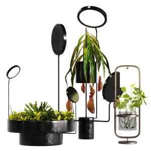 Plant Set Whit Lights