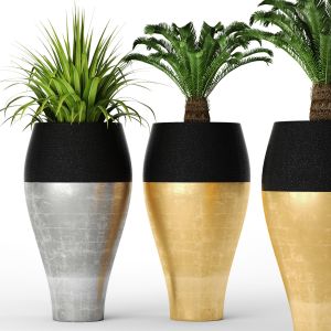 Cycas Set Pot, Vase, Luxury, Gold, Cycas, Interior