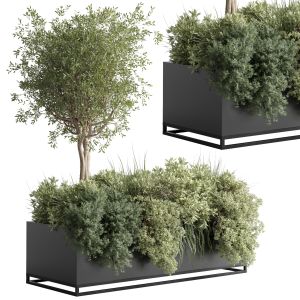 Box Plants On Stand 222 Collection Of Houseplant