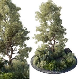 Collection Outdoor Indoor 89 Pot Plant Tree Bush