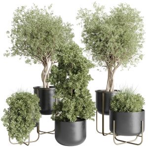 Collection Indoor Plant 224 Stand Metal Vases Pot