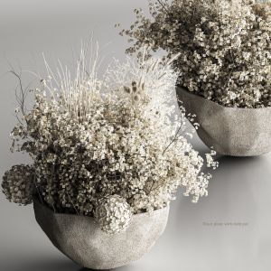 Dried Plant With Cloth Pot