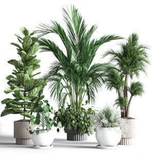 Indoor Plant Set 28