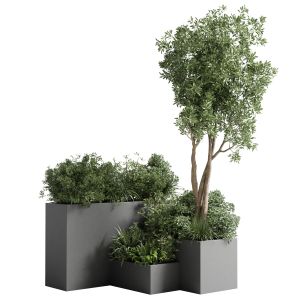 Stand Box Plant - Collection Outdoor Plant 80