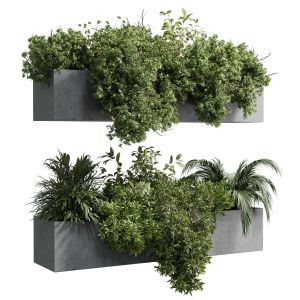 Wall Plant - Hanging Plants Balcony Plants Outdoor