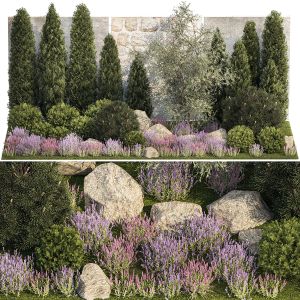 Garden With Alpine Slide Bushes Of Thuja Lavender