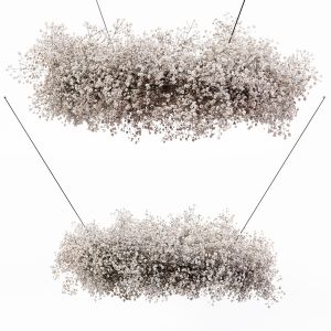 Chandelier Gypsophila