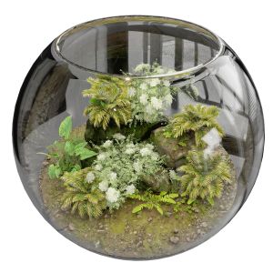 Terrarium Plants Collection No4