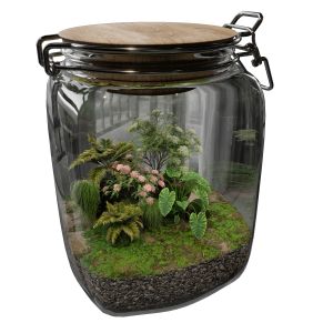 Terrarium Plants Collection No5