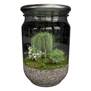 Terrarium Plants Collection No6