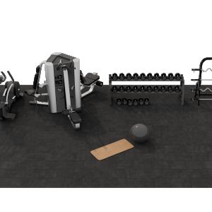 3d Gym Set