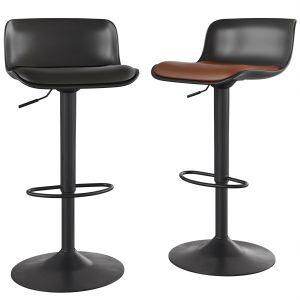 Adjustable Bar Stool