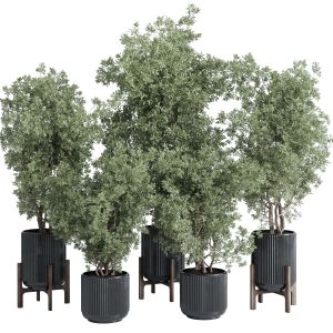 Indoor Plant Set 381 Tree Bush Concrete Dirt Vase