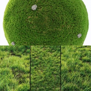 Grass For Landscaping Exterior collection Vol 01