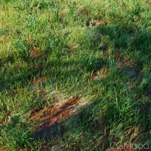 High Details Grass_02