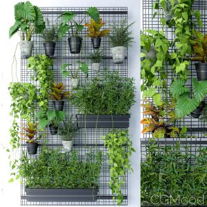 Wall Grid Plant Pot 6