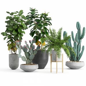 Interior Plants Set