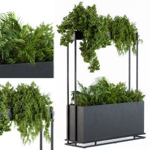 Plant Box Metal Compact