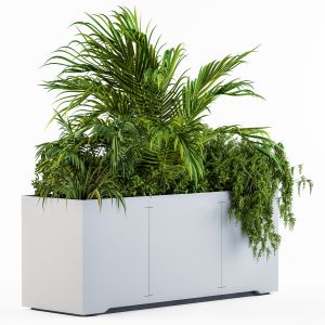 Gray Plants Box With Tropical Plant