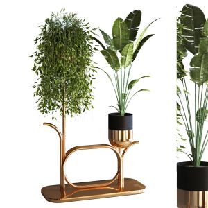 Plant Set 051