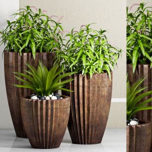 Decorative Plant Set - 13