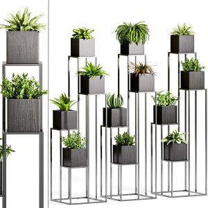 Decorative Plant Set - 14