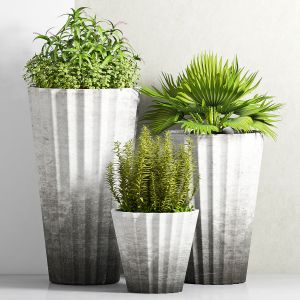 Decorative Plant Set - 20