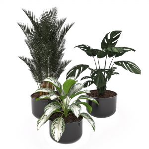 Plant Set 01